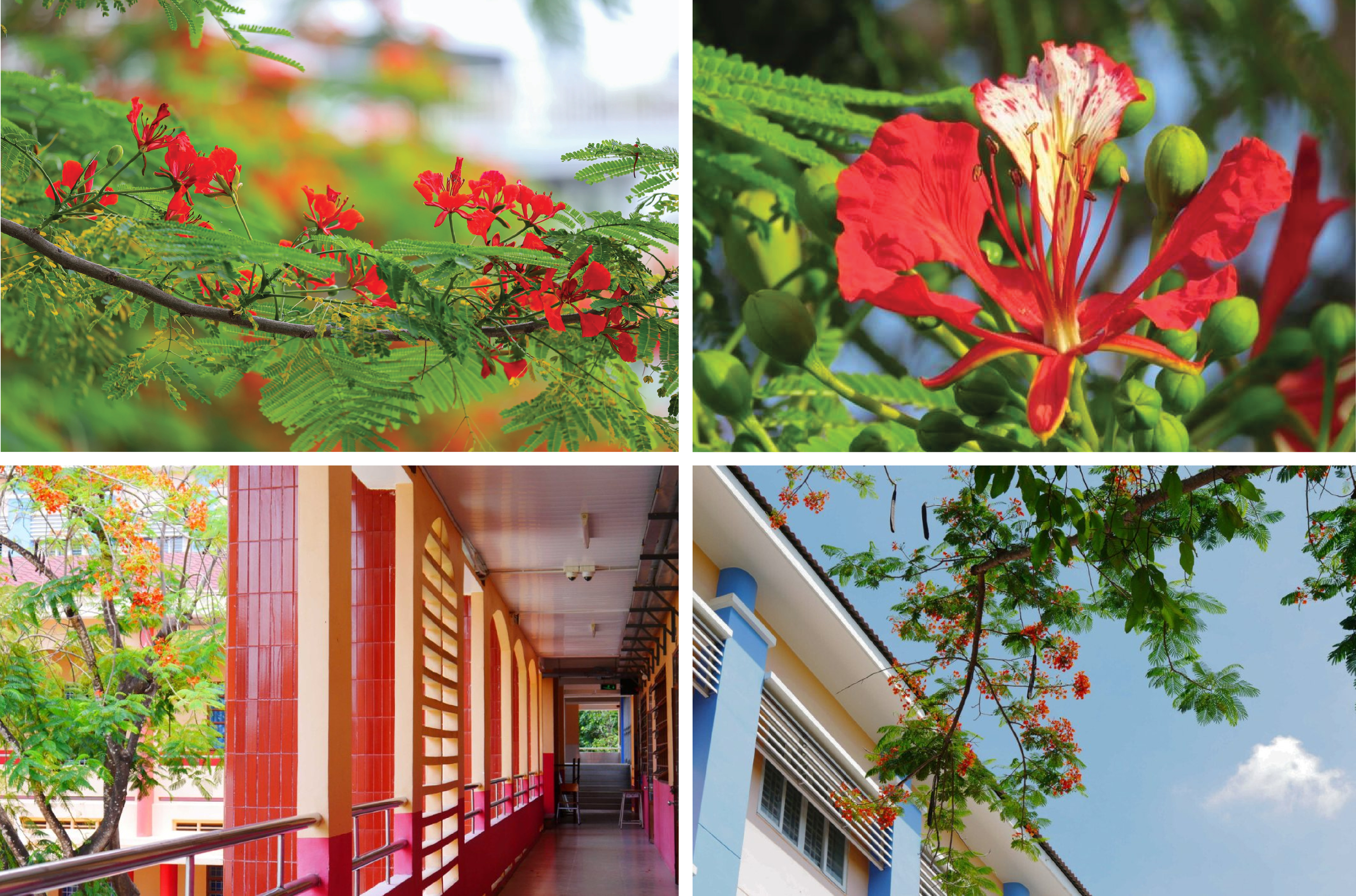 [E-magazin]: Die Farbe der Erinnerung
