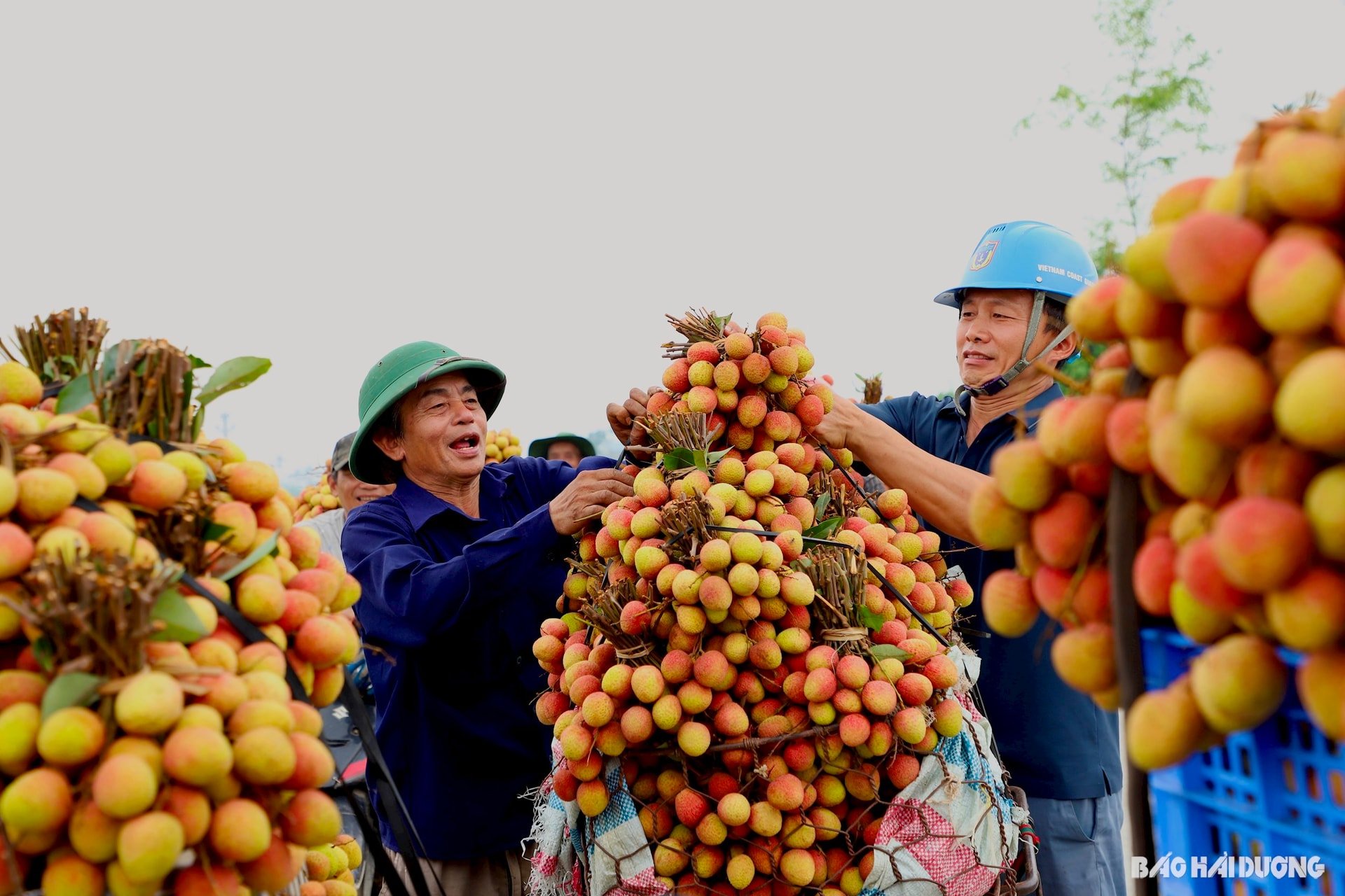 vai-thieu-thanh-ha3.jpg