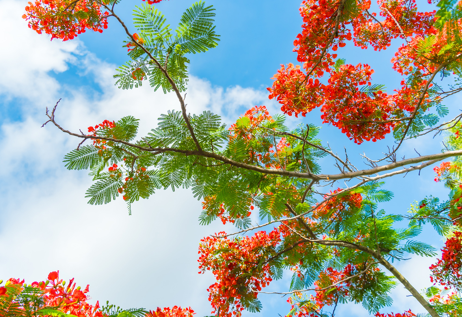 [E-magazin]: Die Farbe der Erinnerung