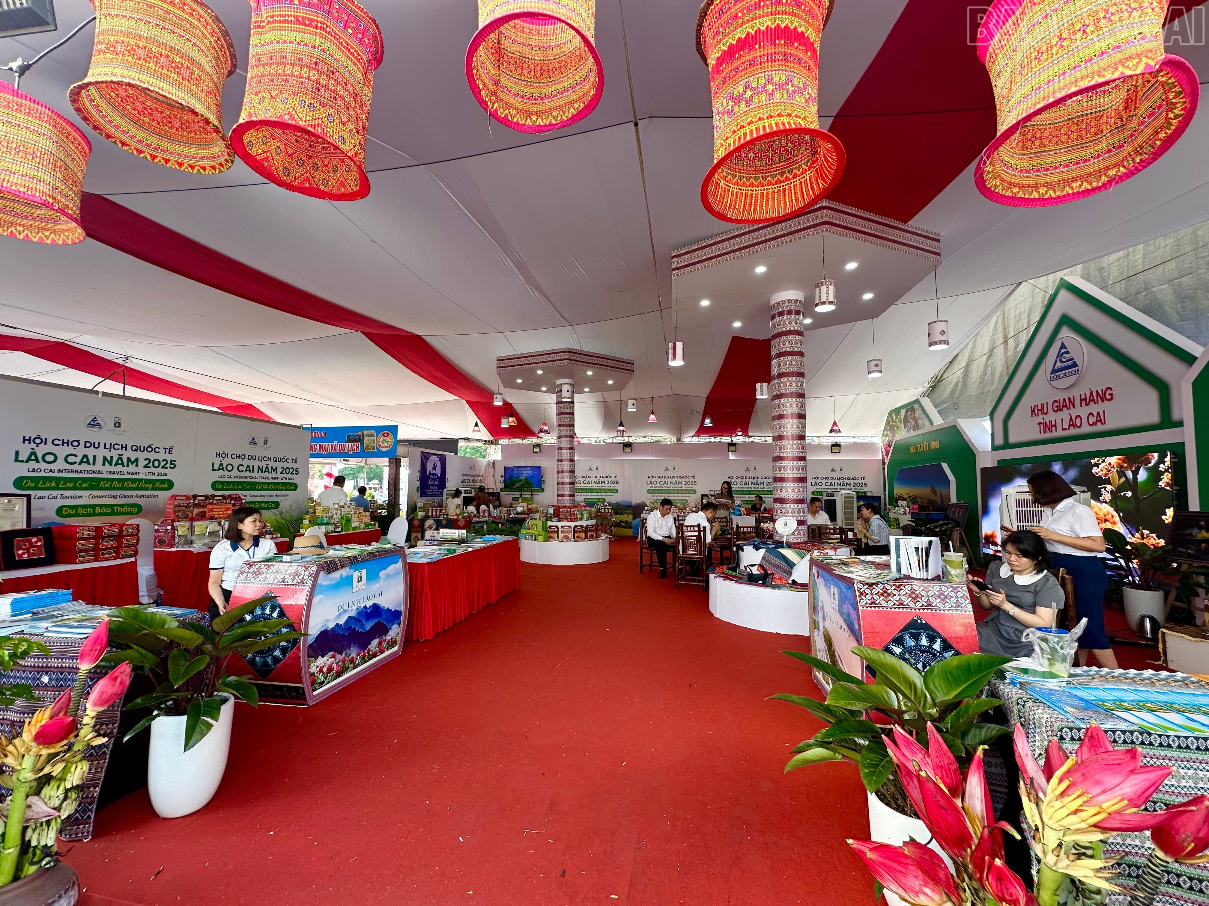 baolaocai-tr_img-1831.jpg