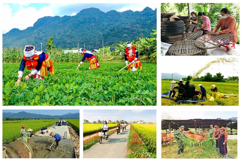 Kế hoạch tổng kết Chương trình mục tiêu quốc gia xây dựng nông thôn mới giai đoạn 2021 - 2025- Ảnh 1.