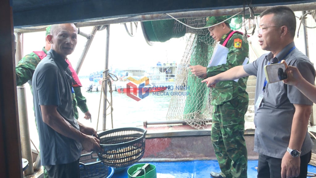 The case of a fishing boat using electric fishing gear to exploit aquatic products has just been discovered and handed over by the Bay Management Board to the Border Guard Station at Hon Gai Port.