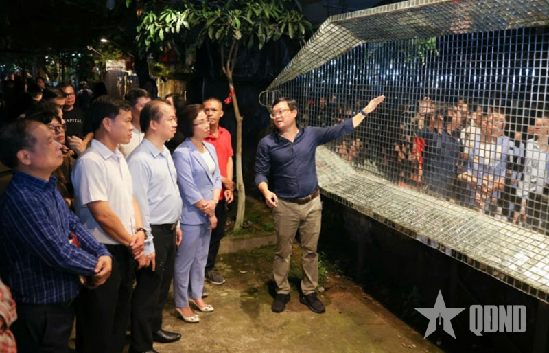 Sớm chuyên nghiệp hóa nghề giám tuyển nghệ thuật