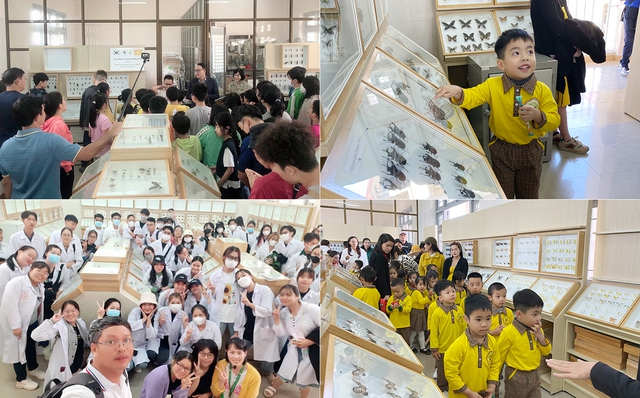 Triển lãm côn trùng VN do ĐH Duy Tân, Trường ĐH Đà Lạt đồng tổ chức - Ảnh 3.