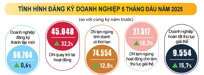 dn5.png