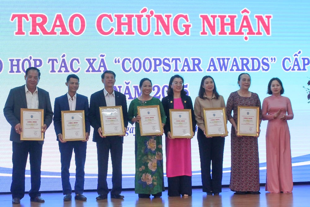 7 đơn vị nhận giấy chứng nhận Ngôi sao HTX cấp tỉnh
