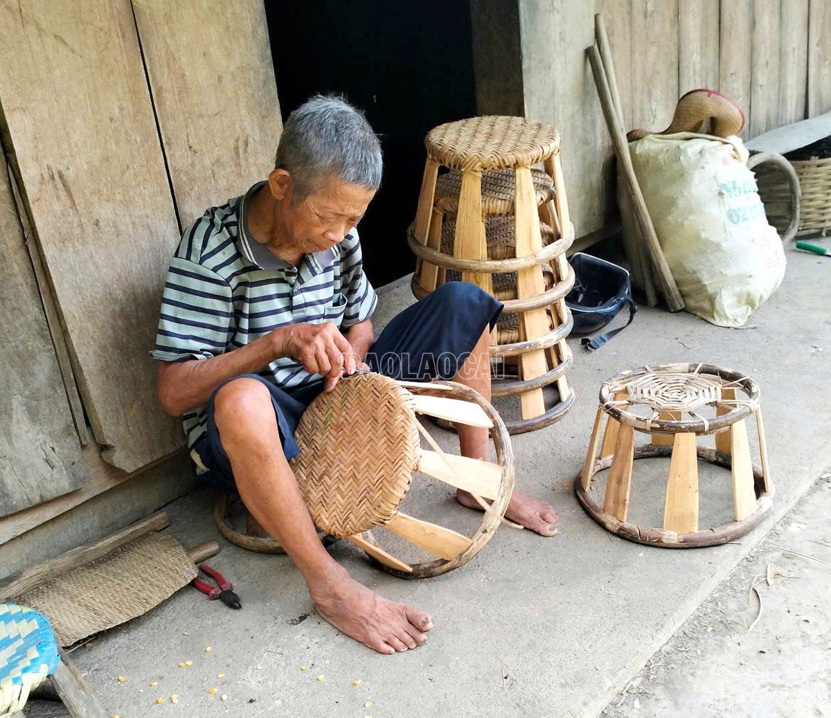 baolaocai-c_9.jpg