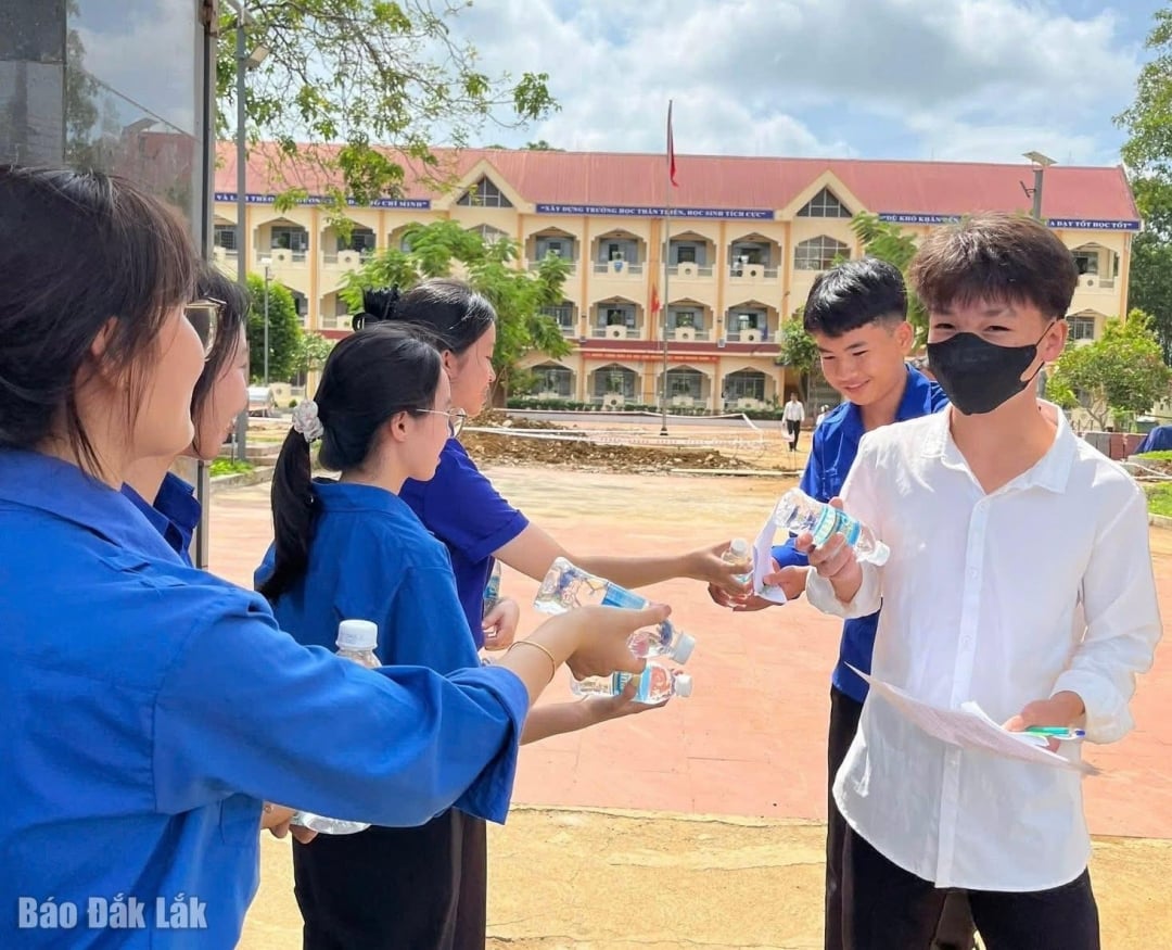 Các tình nguyện viên