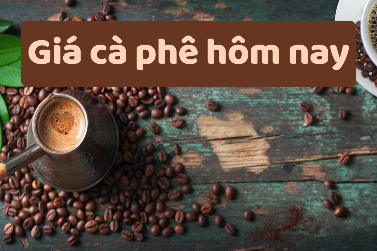Giá cà phê hôm nay 6/6/2025: Tăng khiêm tốn chỉ 100 đồng/kg