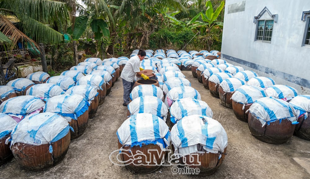 Bên căn nhà nhỏ, ông Hứa Minh Nhựt dành khoảng sân khá rộng đặt hơn 150 lu ủ nước mắm.
