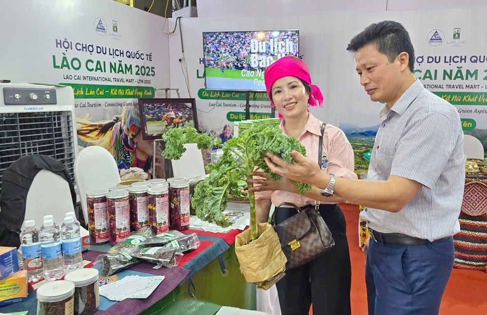 130 gian hàng tham gia Hội chợ Du lịch quốc tế Lào Cai 2025 - Ảnh 3.