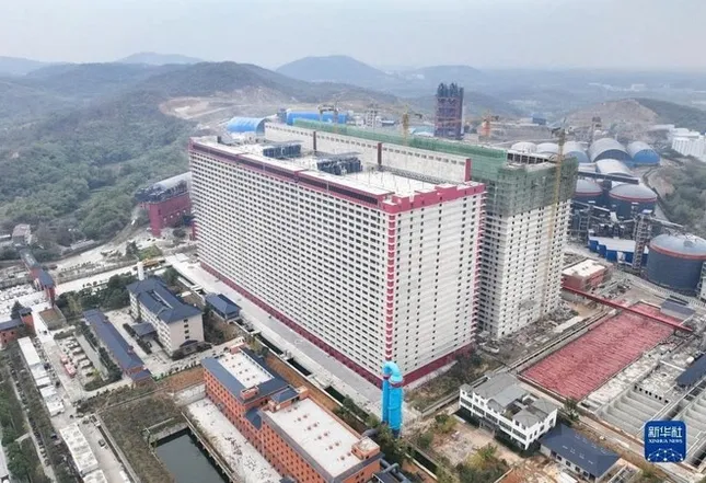 Đề xuất xây ‘chung cư’ 6 tầng cho... lợn ảnh 1