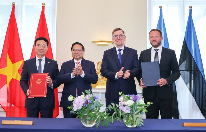 Việt Nam và Estonia tăng cường hợp tác về KHCN, ĐMST, CĐS - Ảnh 1.