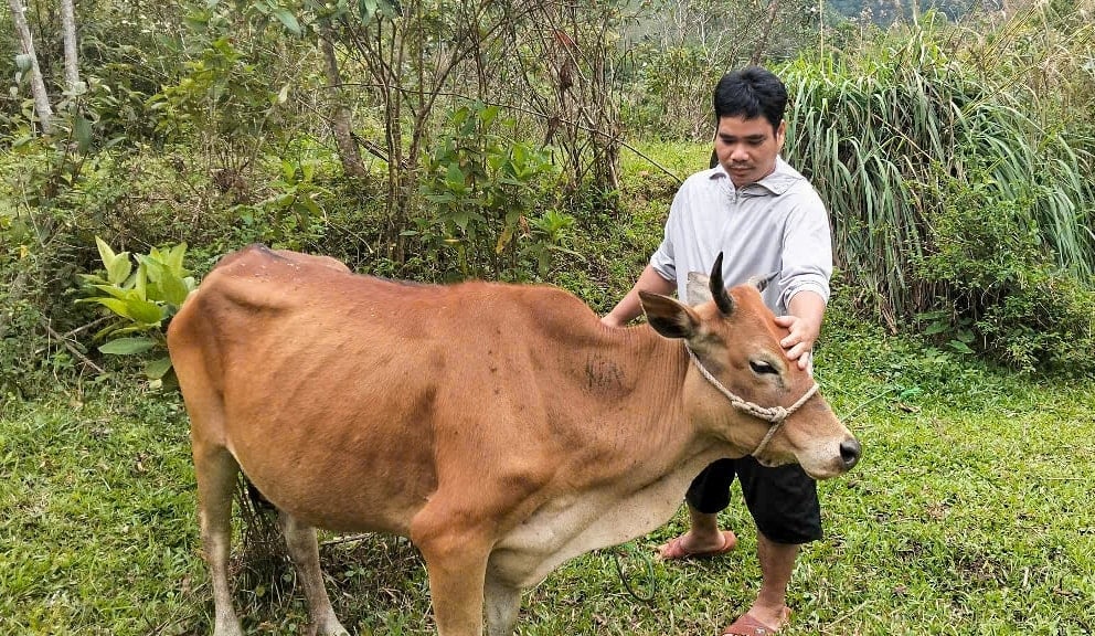 ការចិញ្ចឹមជ្រូក