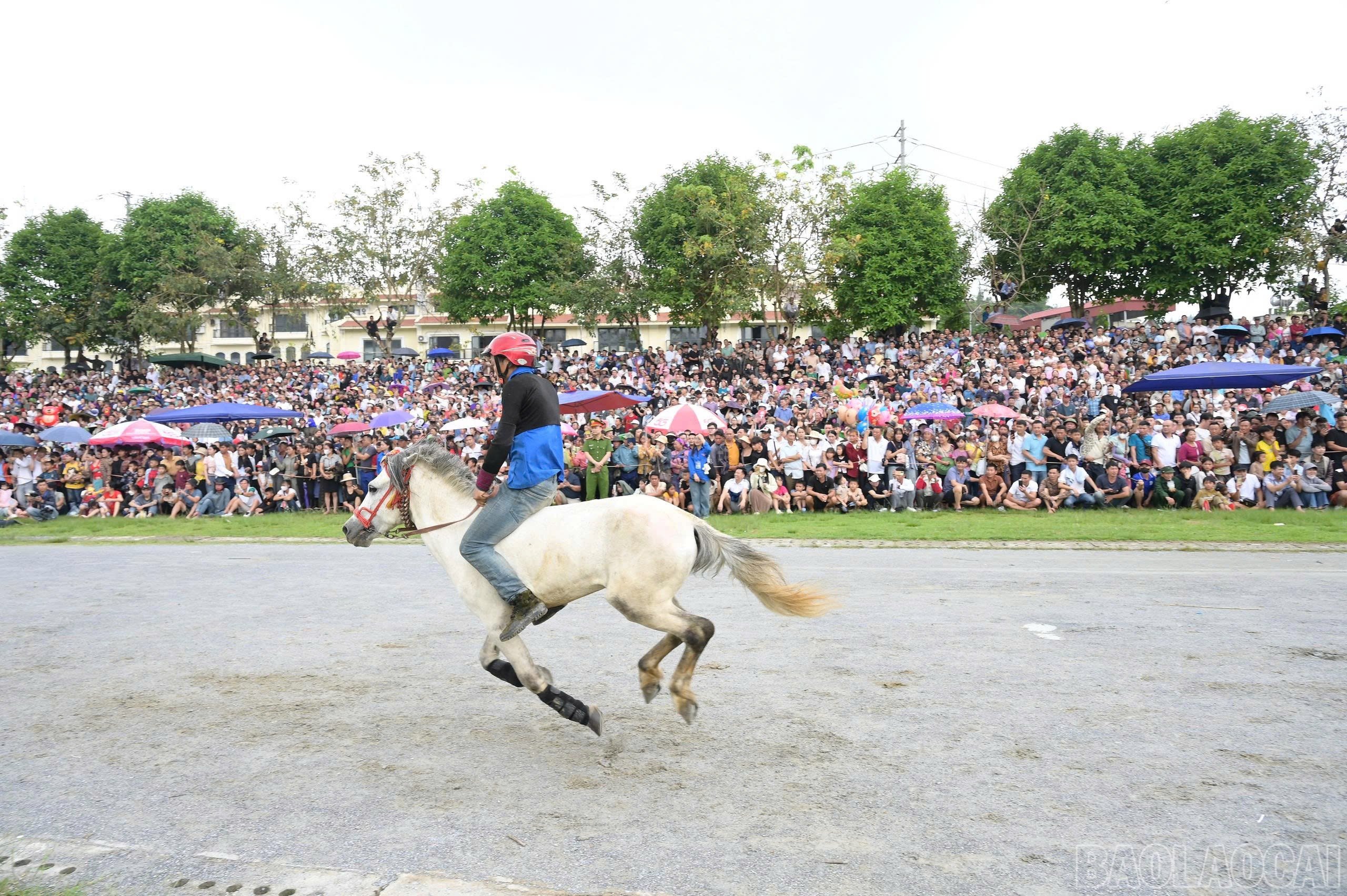 baolaocai-br_z6681143729521-c259404d7fb069b765814aee29fcc22b.jpg