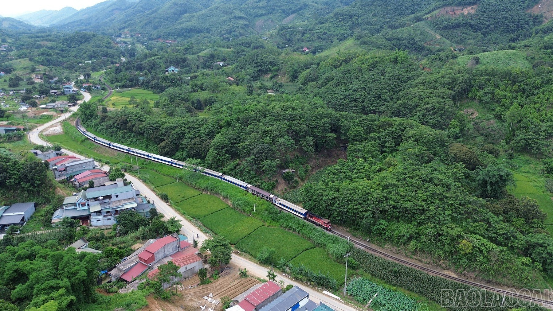 baolaocai-br_dji-0831.jpg