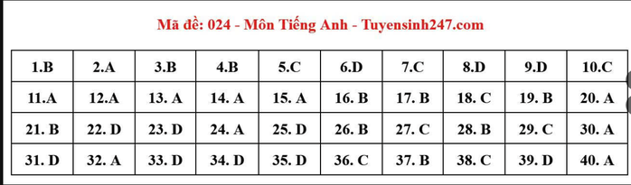 Thi lớp 10 Hà Nội: Đáp án môn tiếng Anh- Ảnh 1.