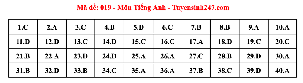 Gợi ý đáp án môn tiếng Anh thi vào lớp 10 năm 2025 của Hà Nội - 19