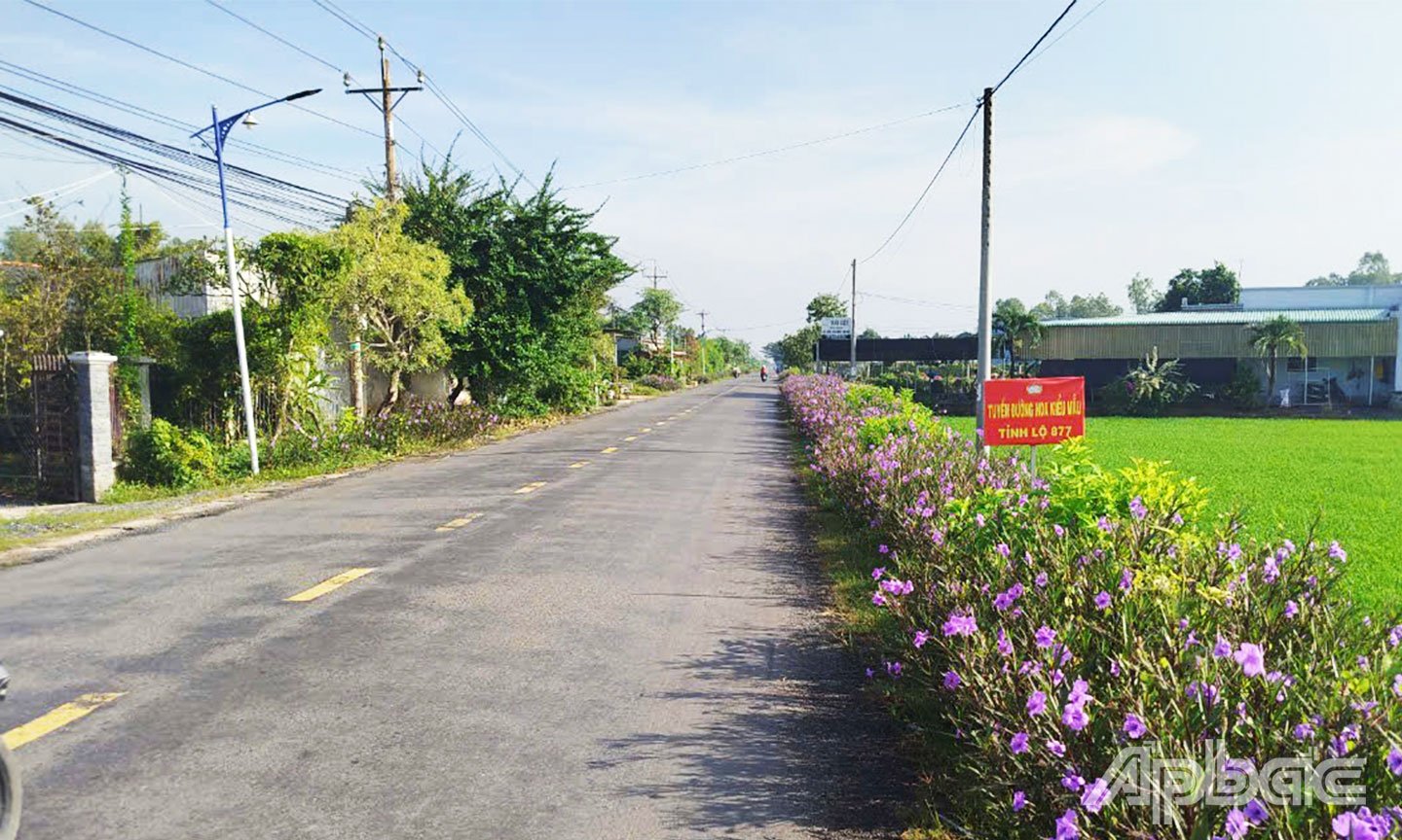 Hệ thống giao thông nông thôn xã Bình Tân được đầu tư ngày càng đồng bộ, khang trang.