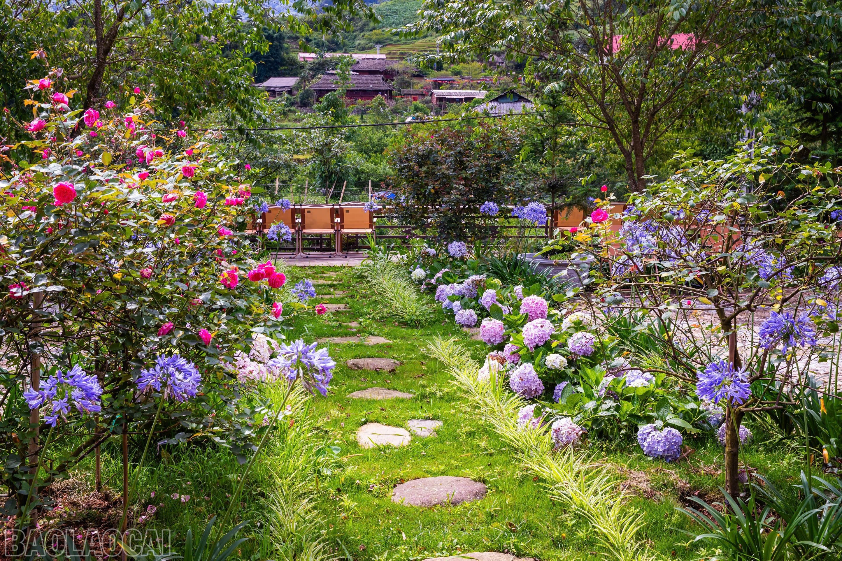 baolaocai-bl_z6679148748451-64eddd4a29f423e32f147520d49cd877.jpg