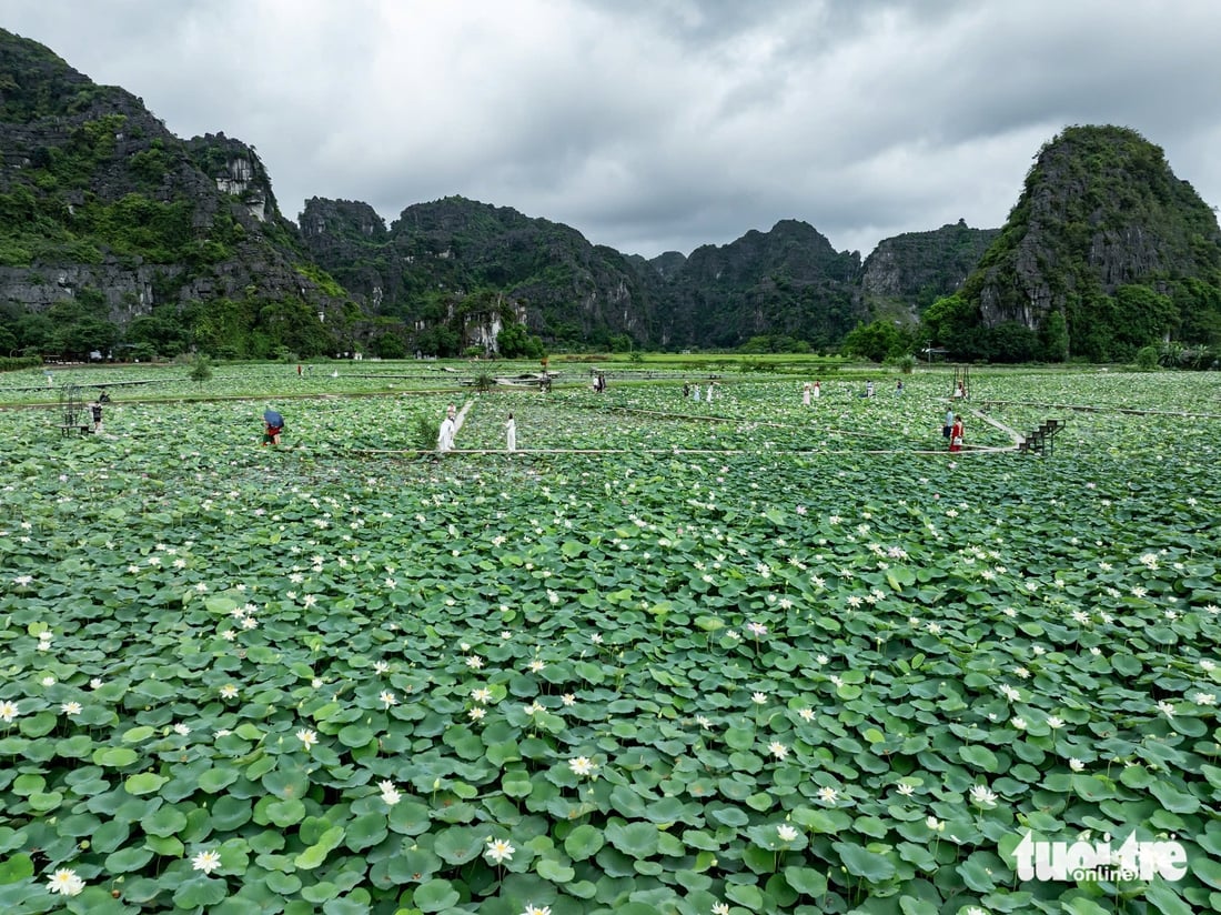ninh bình - Ảnh 2.