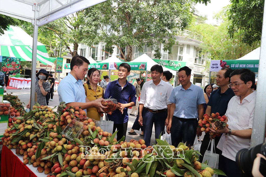 Các đại biểu tham quan gian bày bán vải lai chín sớm Phù Cừ