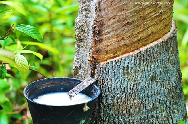 Rubber price today 76 Mixed developments