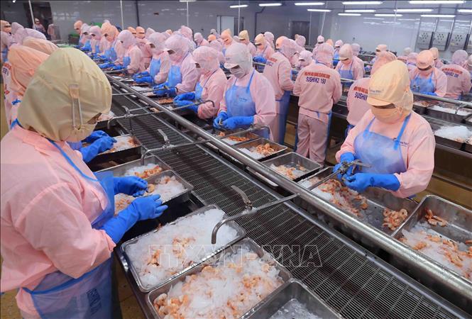 US announces preliminary results on anti-dumping tax on Vietnamese shrimp