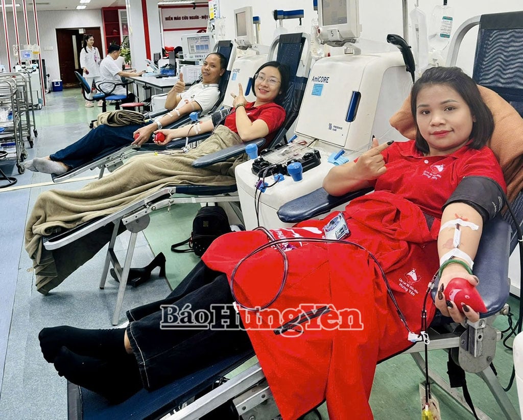 Chị Lê Thị Lý, ở thôn Như Phượng Thượng, xã Long Hưng (Văn Giang) thường xuyên hiến tiểu cầu