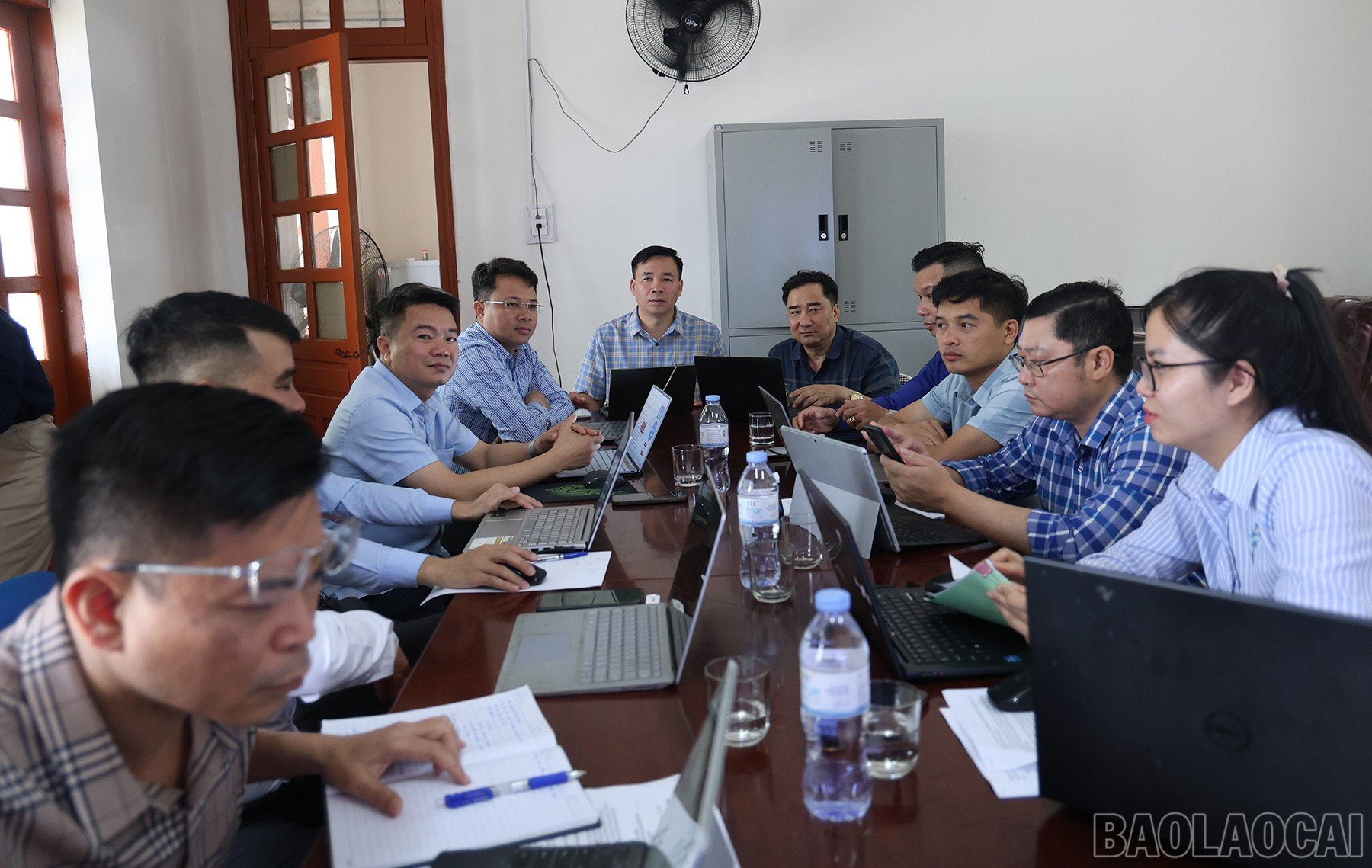 baolaocai-br_img-9399.jpg