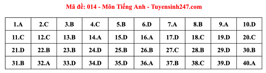 Gợi ý đáp án môn tiếng Anh thi vào lớp 10 năm 2025 của Hà Nội - 14