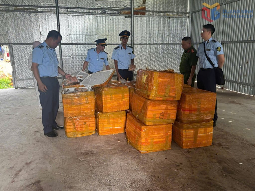 Lực lượng chức năng bắt giữ hơn 1 tấn trứng gà non đông lạnh không rõ nguồn gốc xuất xứ ngày 3/6 tại thôn 10B, xã Hải Xuân (Móng Cái)
