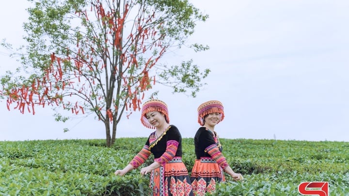 ម៉ុកចូវ - គោលដៅរដូវក្តៅដ៏ល្អ