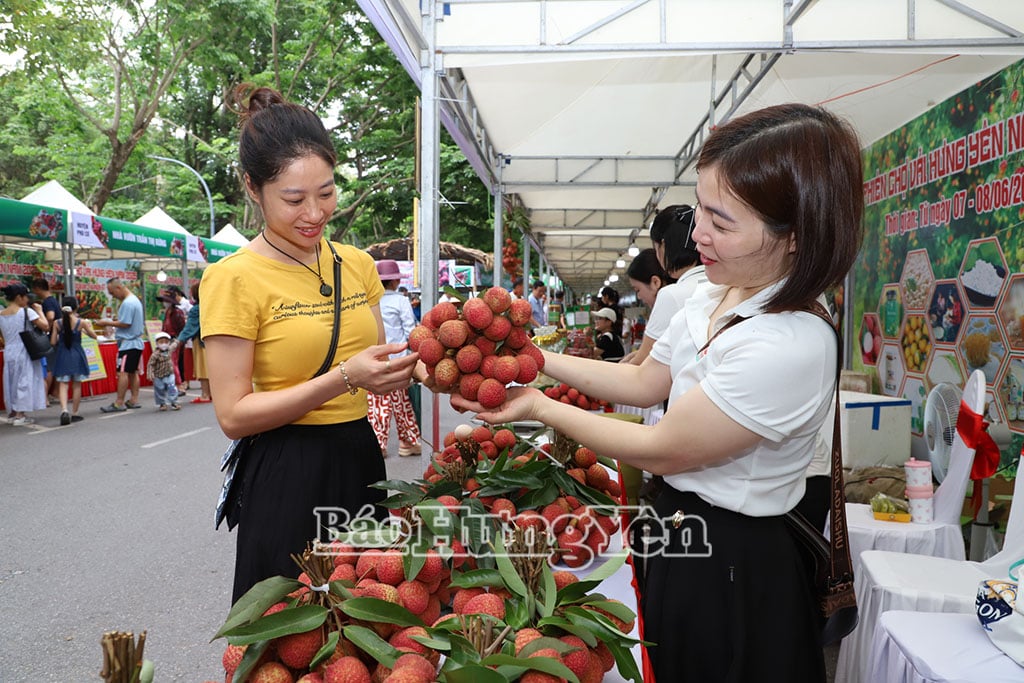 Vải trứng Hưng Yên được nhiều người tiêu dùng ưa chuộng