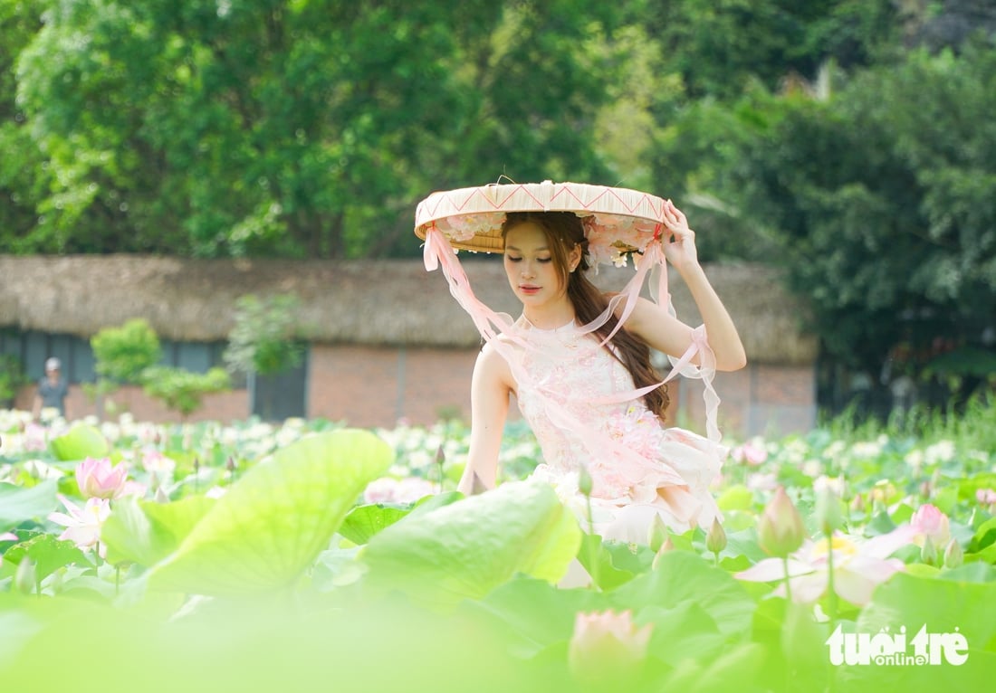 ninh bình - Ảnh 1.