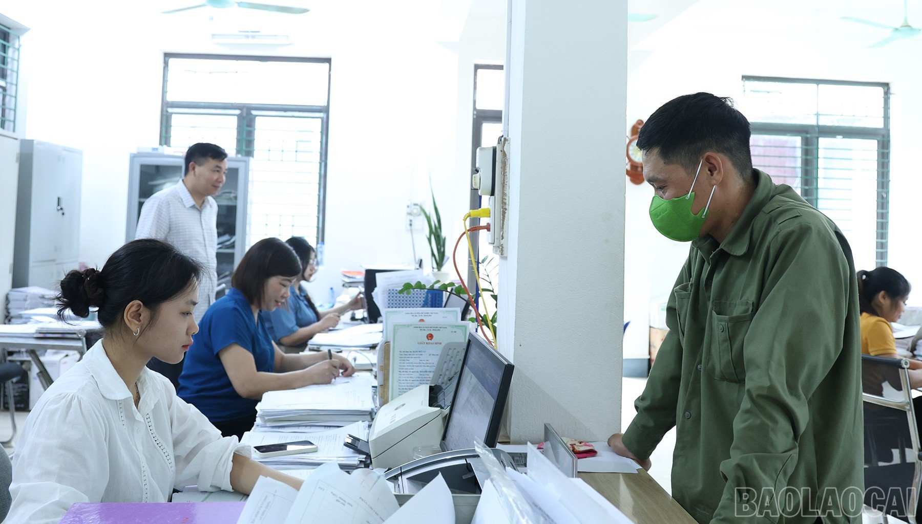 baolaocai-br_img-1264.jpg