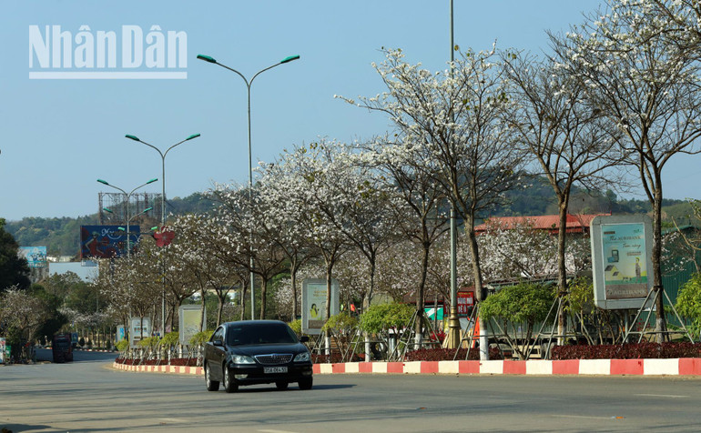 Năm nay, thành phố Sơn La sẽ tổ chức Lễ hội hoa ban vào ngày 15 và 16/3, nhằm tôn vinh, bảo tồn, phát huy các loại hình di sản văn hóa dân tộc gắn với bảo tồn và phát huy tiềm năng thế mạnh du lịch. Lễ hội sẽ diễn ra nhiều hoạt động văn hóa, văn nghệ cùng những trò chơi dân gian đậm bản sắc dân tộc. Năm nay, thành phố Sơn La sẽ tổ chức Lễ hội hoa ban vào ngày 15 và 16/3, nhằm tôn vinh, bảo tồn, phát huy các loại hình di sản văn hóa dân tộc gắn với bảo tồn và phát huy tiềm năng thế mạnh du lịch. Lễ hội sẽ diễn ra nhiều hoạt động văn hóa, văn nghệ cùng những trò chơi dân gian đậm bản sắc dân tộc.