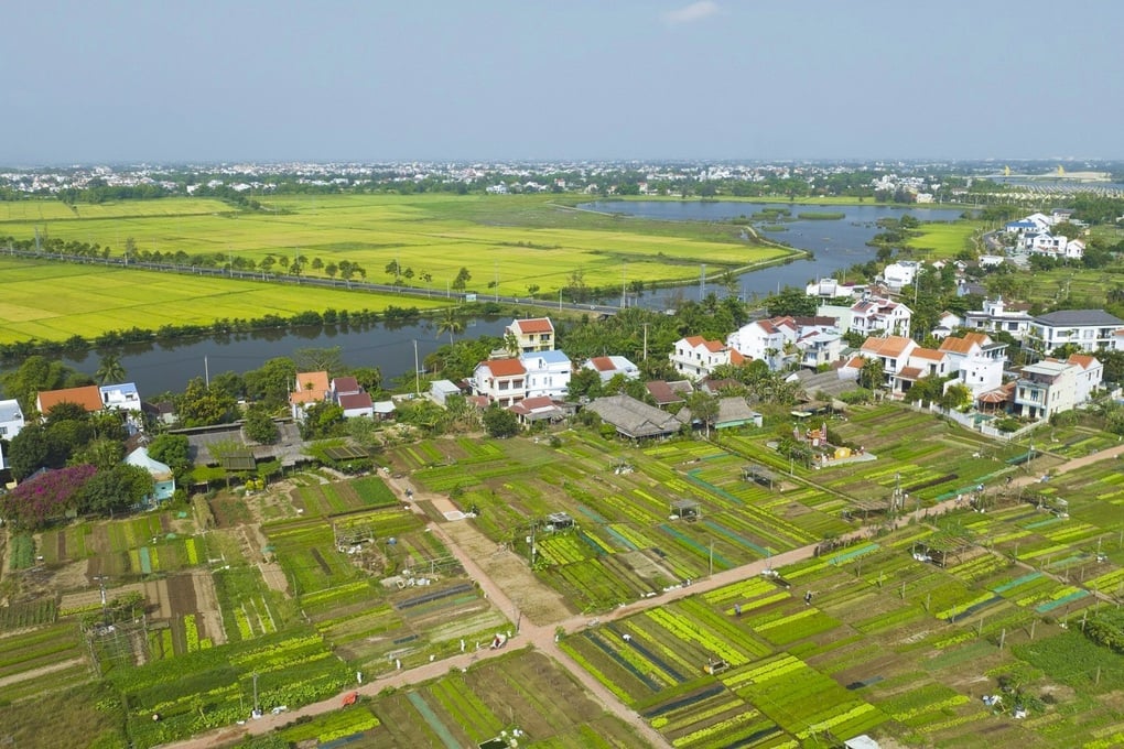 Làng rau Trà Quế ra mắt bộ nhận diện thương hiệu mới - 2