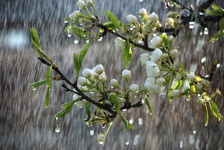 Cảnh báo mưa lớn cục bộ nhiều nơi trên cả nước- Ảnh 1.