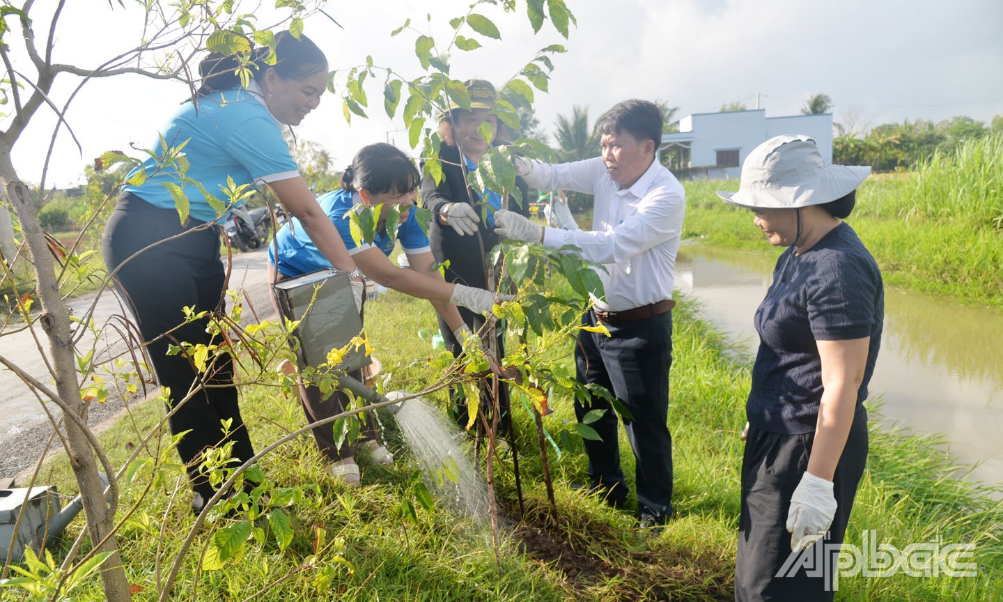 Tien Giang Provincial Women's Union planted 500 star apple trees in Tang Hoa commune, Go Cong Dong district.
