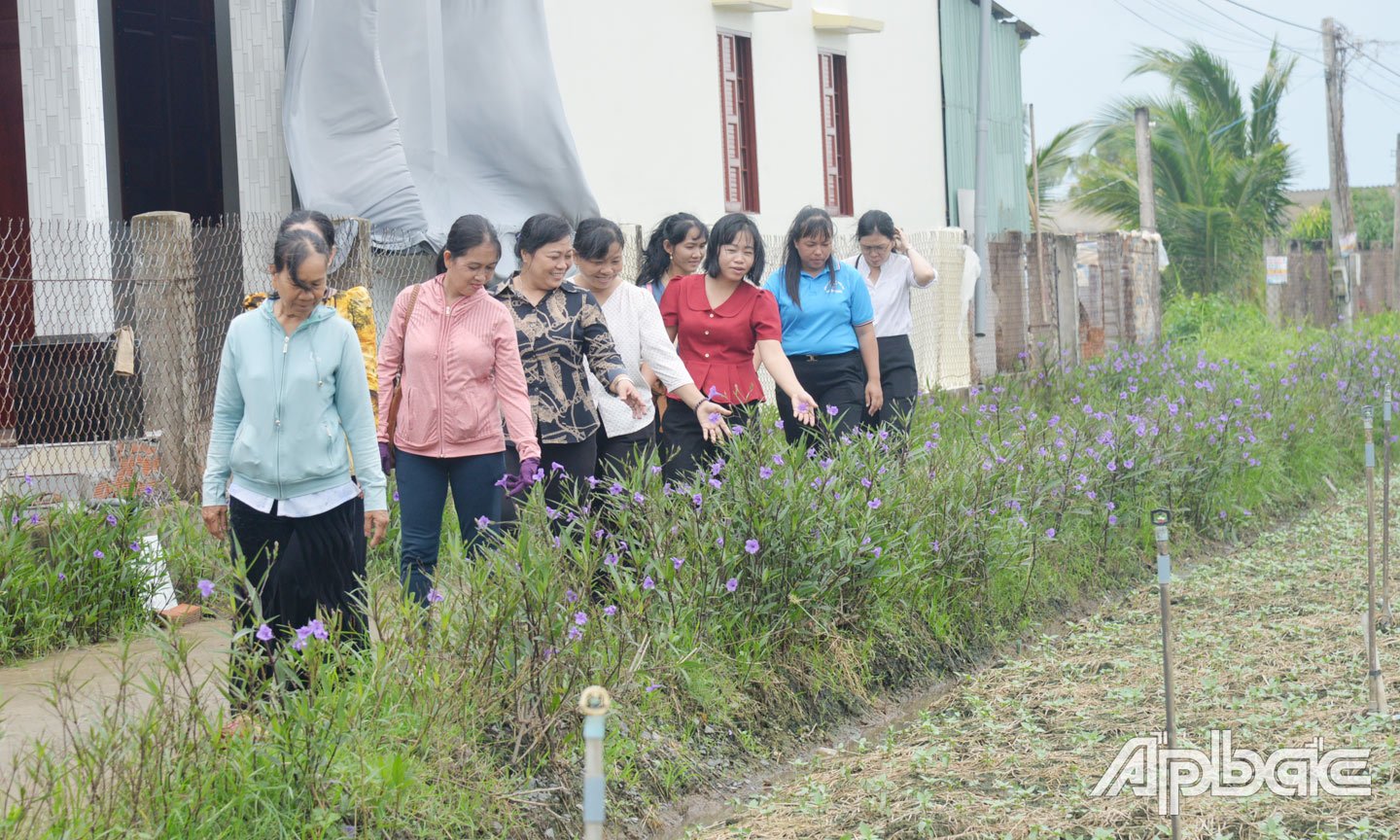 Women's flower route at Sau Lo road, Ba Canh hamlet, Tan Thanh commune, Go Cong Dong district.