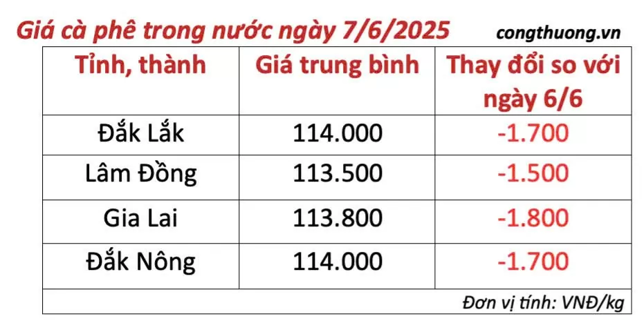 Dự báo giá cà phê ngày mai 8/6/2025, đà giảm 'chững lại'