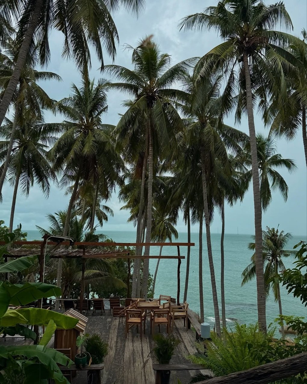 Con đường ven đảo ở Việt Nam đẹp như Bali gây sốt mạng trong 11 giây - 1