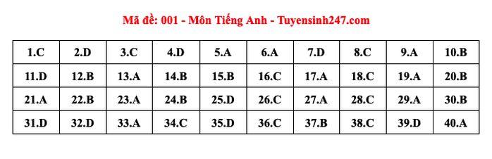 Thi lớp 10 Hà Nội: Đáp án môn tiếng Anh- Ảnh 2.