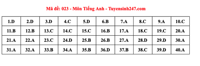 Thi lớp 10 Hà Nội: Đáp án môn tiếng Anh- Ảnh 3.