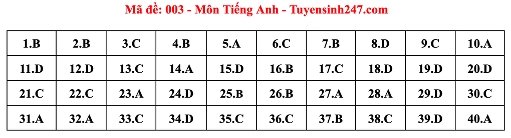 Gợi ý đáp án môn tiếng Anh thi vào lớp 10 năm 2025 của Hà Nội - 3