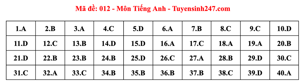 Gợi ý đáp án môn tiếng Anh thi vào lớp 10 năm 2025 của Hà Nội - 12