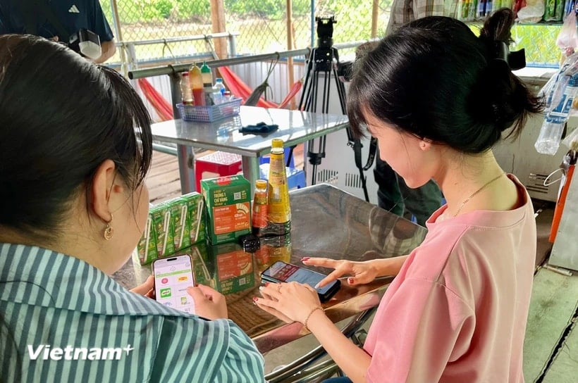 (일러스트 사진: 베트남+)