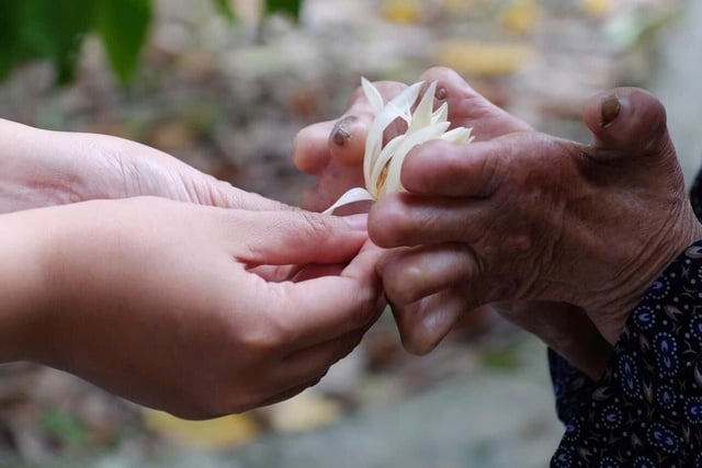 Đời có bao nhiêu ngày vui- Ảnh 1.
