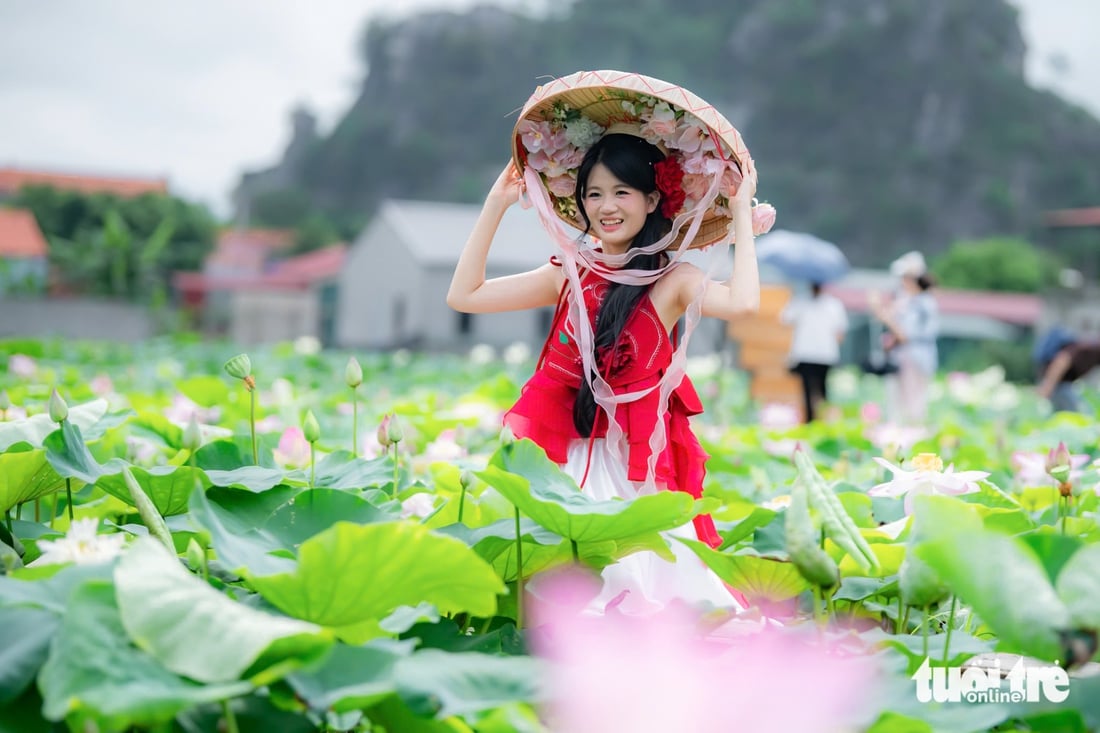 ninh bình - Ảnh 3.